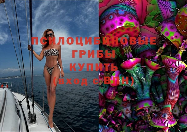 амф Абаза
