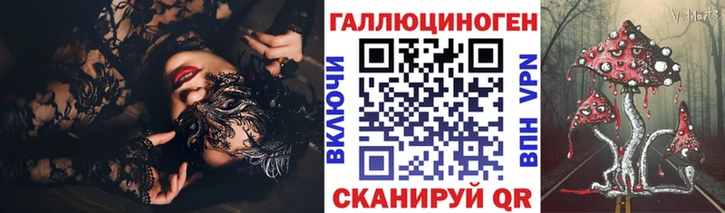 Галлюциногенные грибы Psilocybe Инсар
